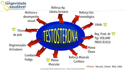 Testoterona